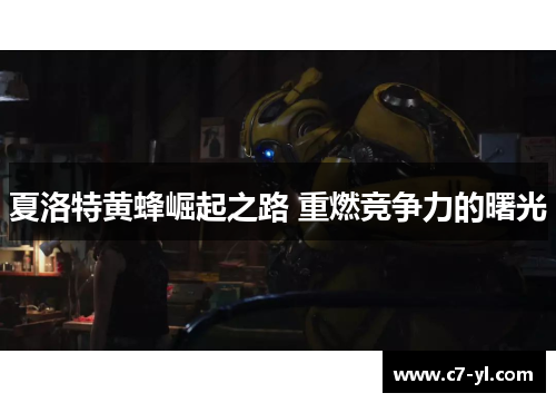 夏洛特黄蜂崛起之路 重燃竞争力的曙光
